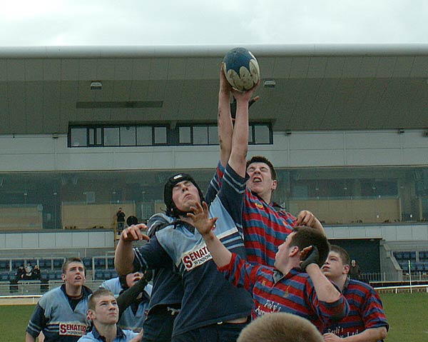 alan-regan-in-lineout.jpg