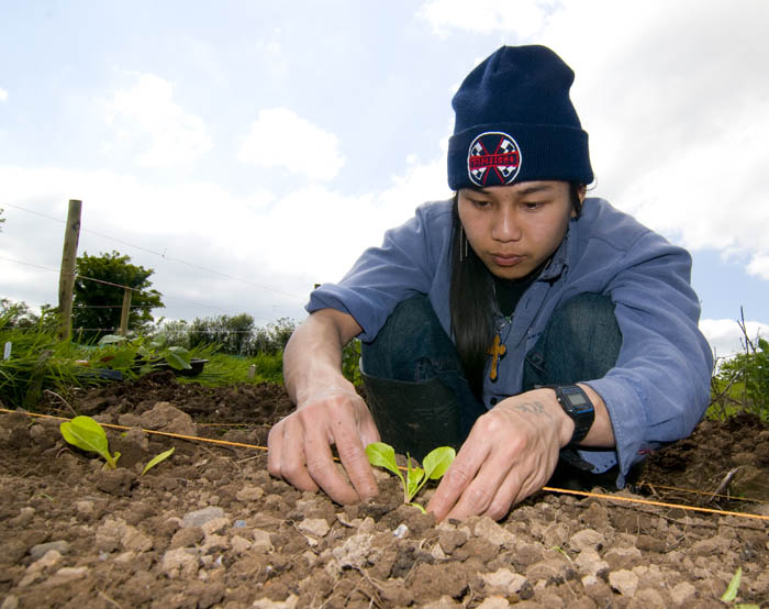 allotments_by_Alison_Laredo_3.jpg