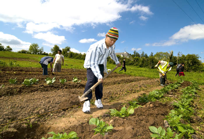 allotments_by_Alison_Laredo_7.jpg