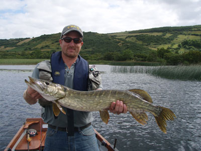 bodo-funke-pike11-5lb.jpg