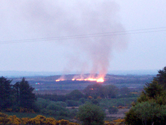 cappagh-fire-1.jpg