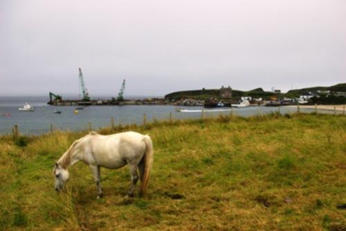 clare_island_new_pier.jpg