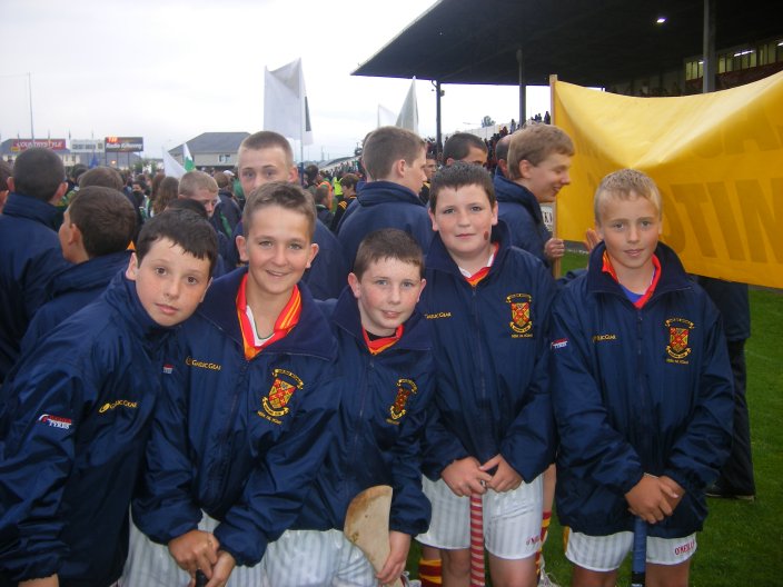 feile7.jpg