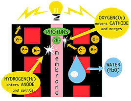 fuelcell.gif