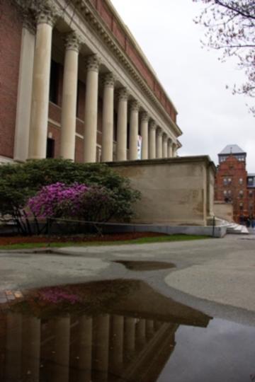 harvard_library_puddle.jpg