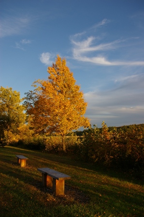 hopkinton_state_park_oct_05_bench.jpg