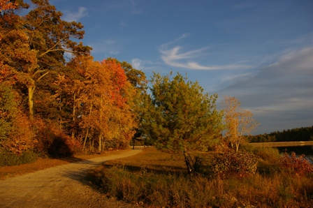 hopkinton_state_park_oct_05_fall_leaves.jpg