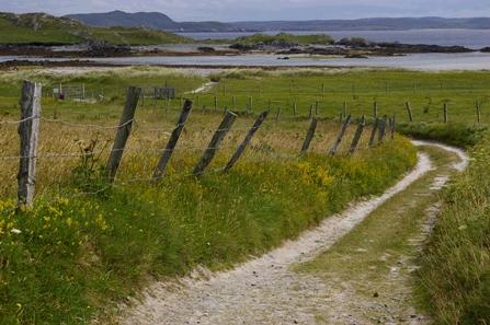 inishbofin__looking_towords_cleggan.jpg