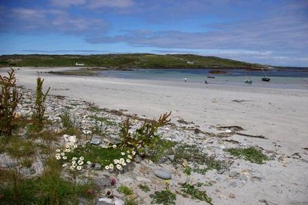 inishbofin_east_bay.jpg