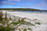 inishbofin_east_bay_1.jpg