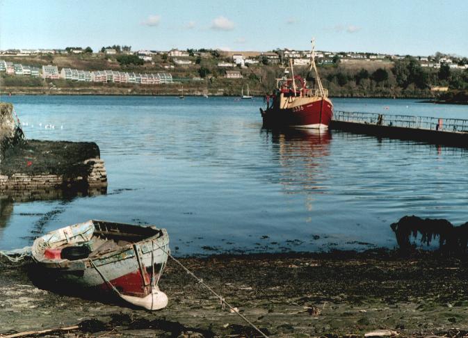 kinsale_d336_001.jpg