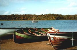 lough_conn_boats_oct00.jpg