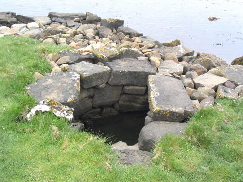 st__brenden_002_005.jpg
