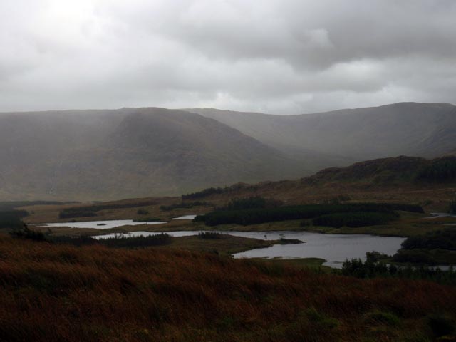 tawnyardloughP8241358.jpg