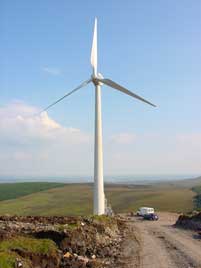 windmillandvan-tn.jpg