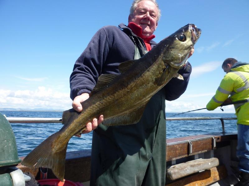 10_lbs_pollack_for_French_angler_Jean_Claude_fishing_Galway_Bay_earlier_in_2012.JPG