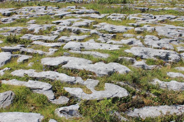 20100824-poulnabrone_66.JPG