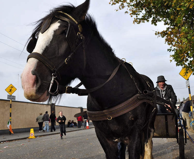 Ballinasloe__Fair_16.jpg