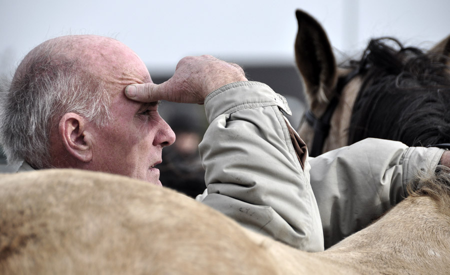 Ballinasloe__Fair_8.jpg