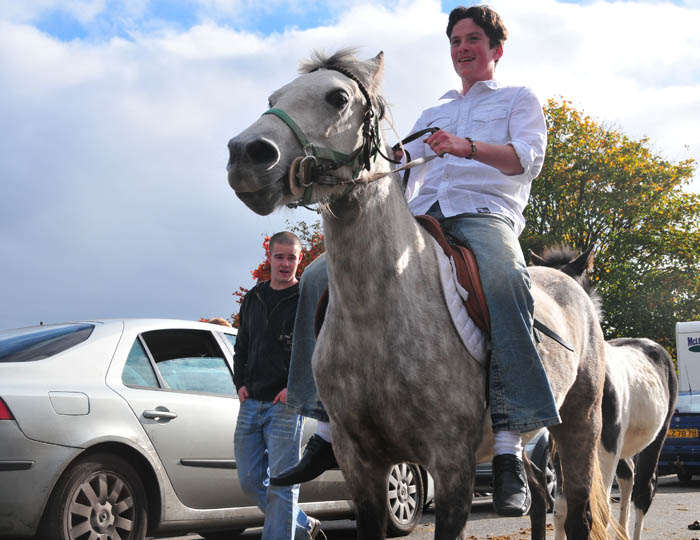 Ballinasloe_by_Alison_Laredo_11.jpg