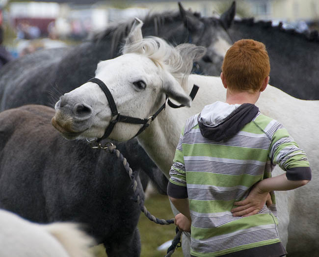 Ballinasloe_by_Alison_Laredo_13.jpg