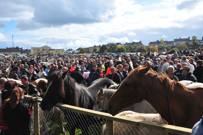 Ballinasloe_by_Alison_Laredo_17.jpg