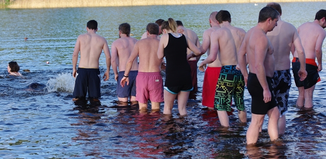 Castlebar_Christmas_Swim_2013_lambs_to_the_slaughter.jpg