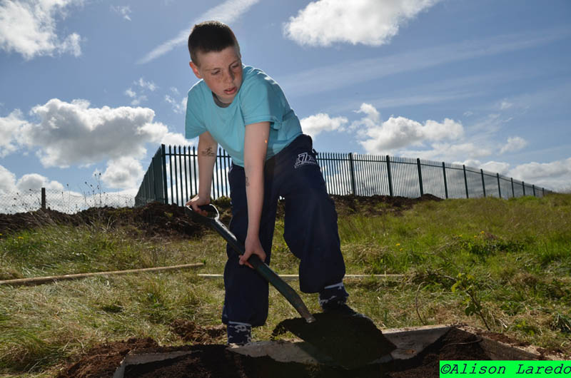 Castlebar_Community_Garden_by_Alison_Laredo_2.jpg