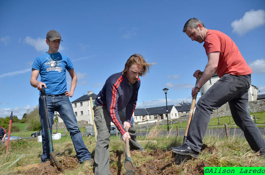 Castlebar_Community_Garden_by_Alison_Laredo_4.jpg