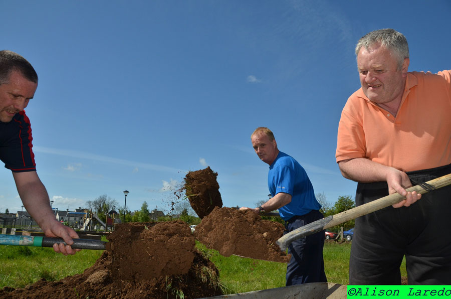 Castlebar_Community_Garden_by_Alison_Laredo_8.jpg