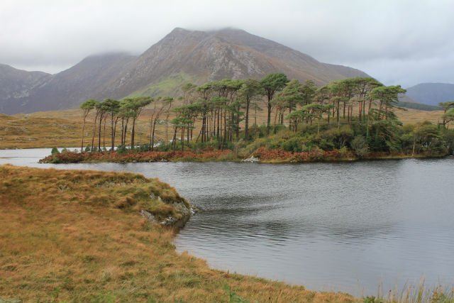 Connemara.jpg