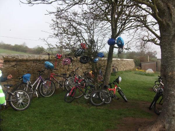 Creevagh_Helmet_Tree_0525.JPG