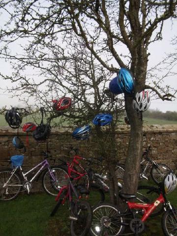 Creevagh_Helmet_Tree_0527.JPG