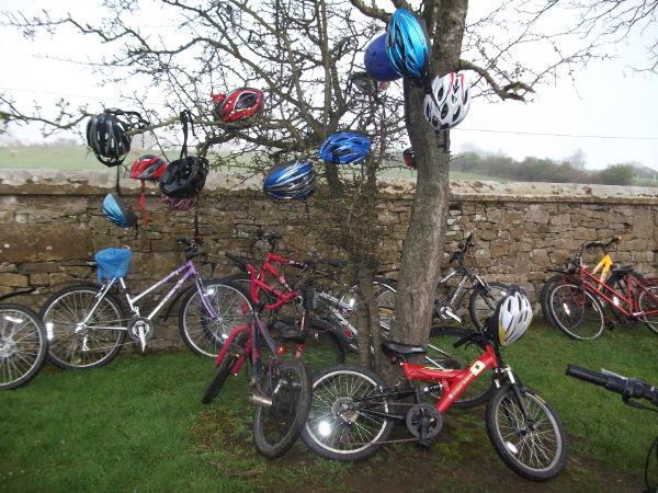 Creevagh_Helmet_Tree_0528.JPG