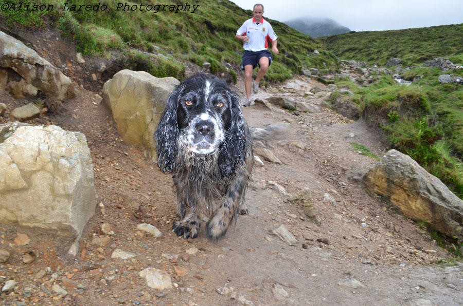 Croagh_Patrick_Challenge_by_Alison_Laredo_4.jpg