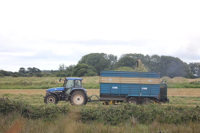 Cutting_Silage__1571.jpg