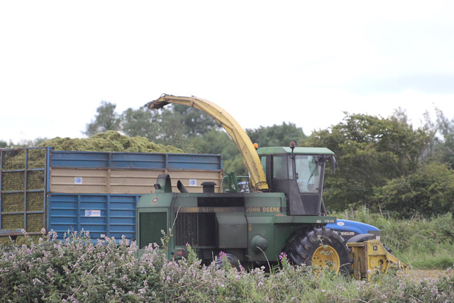 Cutting_Silage__1576.jpg