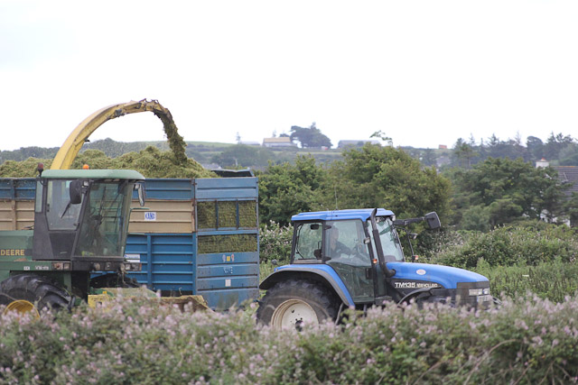 Cutting_Silage__1577.jpg