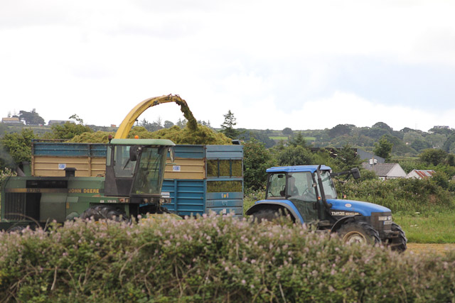 Cutting_Silage__1578.jpg