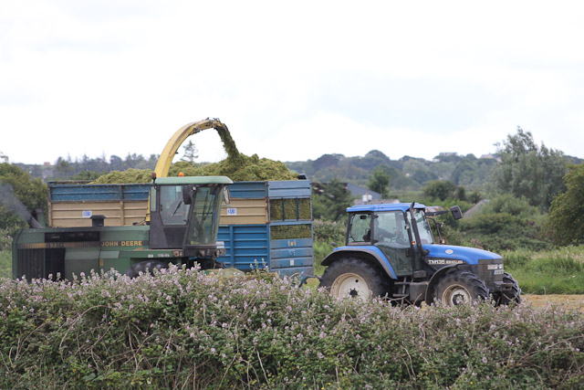 Cutting_Silage__1579.jpg