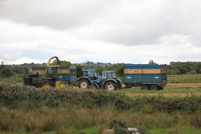 Cutting_Silage__1583.jpg