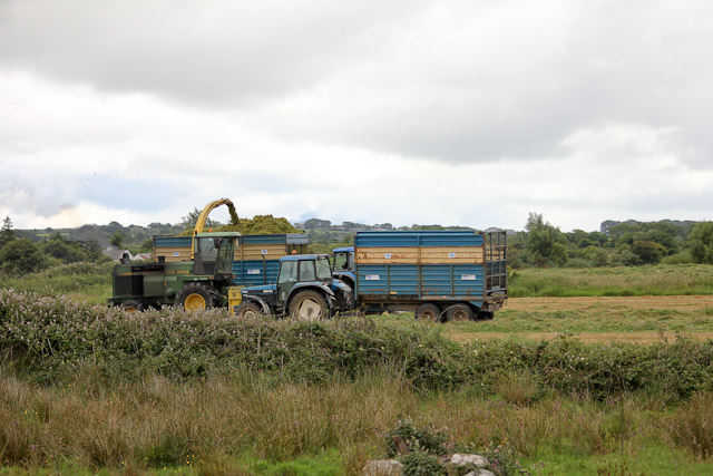 Cutting_Silage__1584.jpg