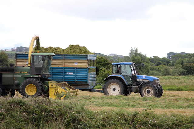 Cutting_Silage__1585.jpg