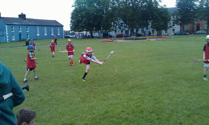 Hurling_otg_0224.jpg