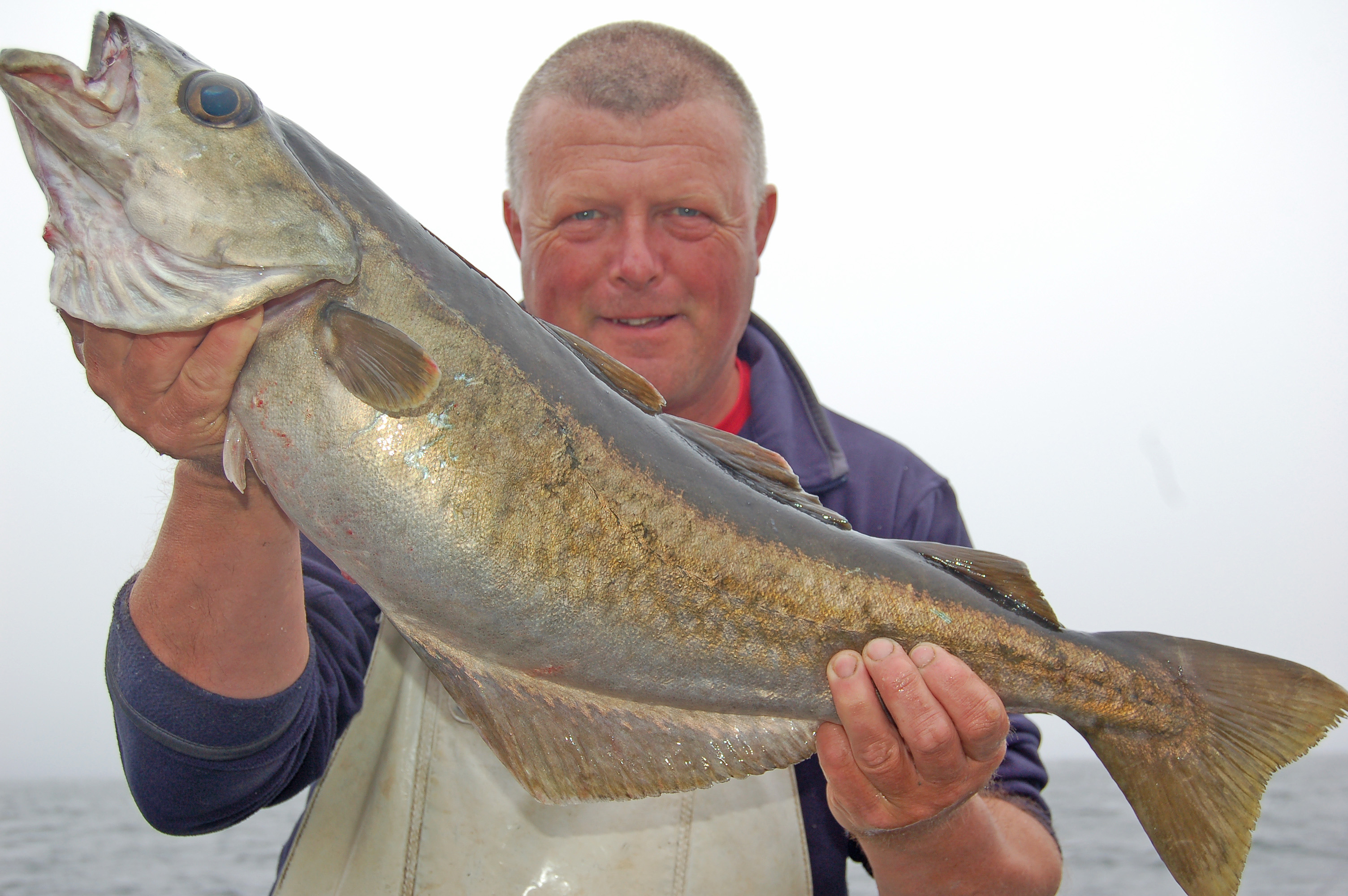 John_Brittain_Pollack_Bluewater_June_2012.JPG