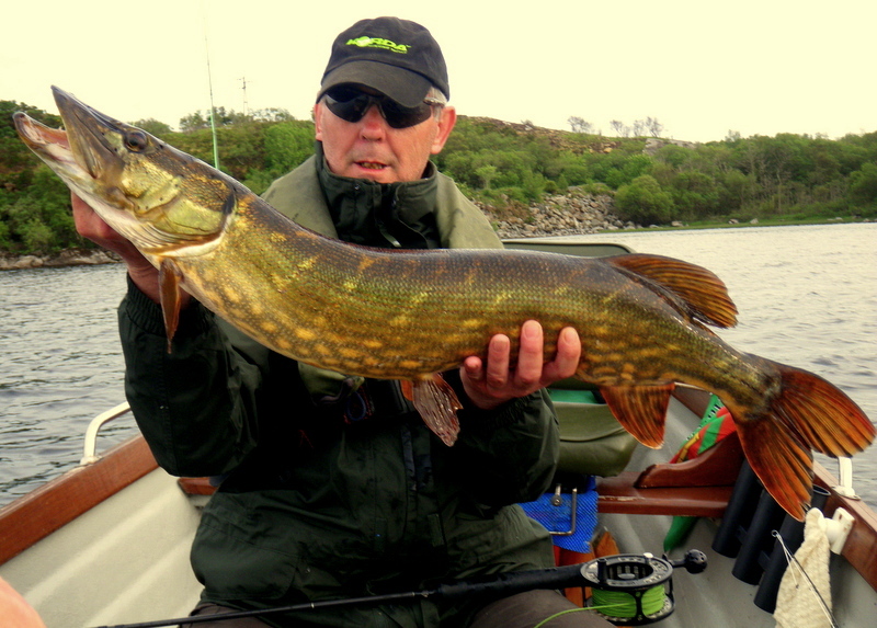 K_Sloan_client_pike.JPG