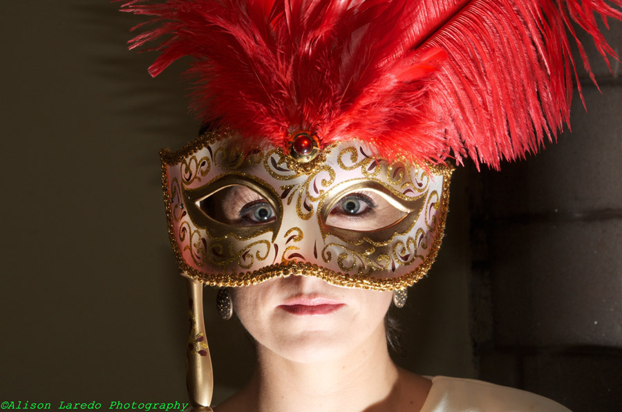 Masquerade_Ball_by_Alison_Laredo_3_1.jpg