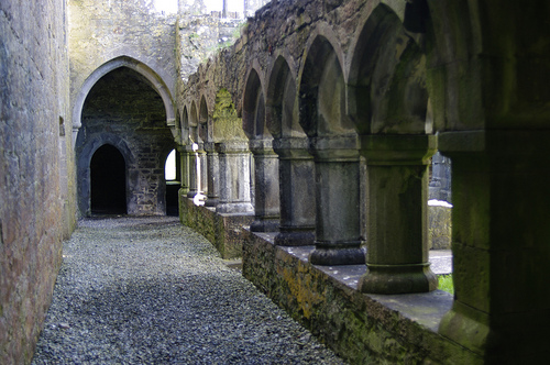 Moyne_Abbey2.jpg