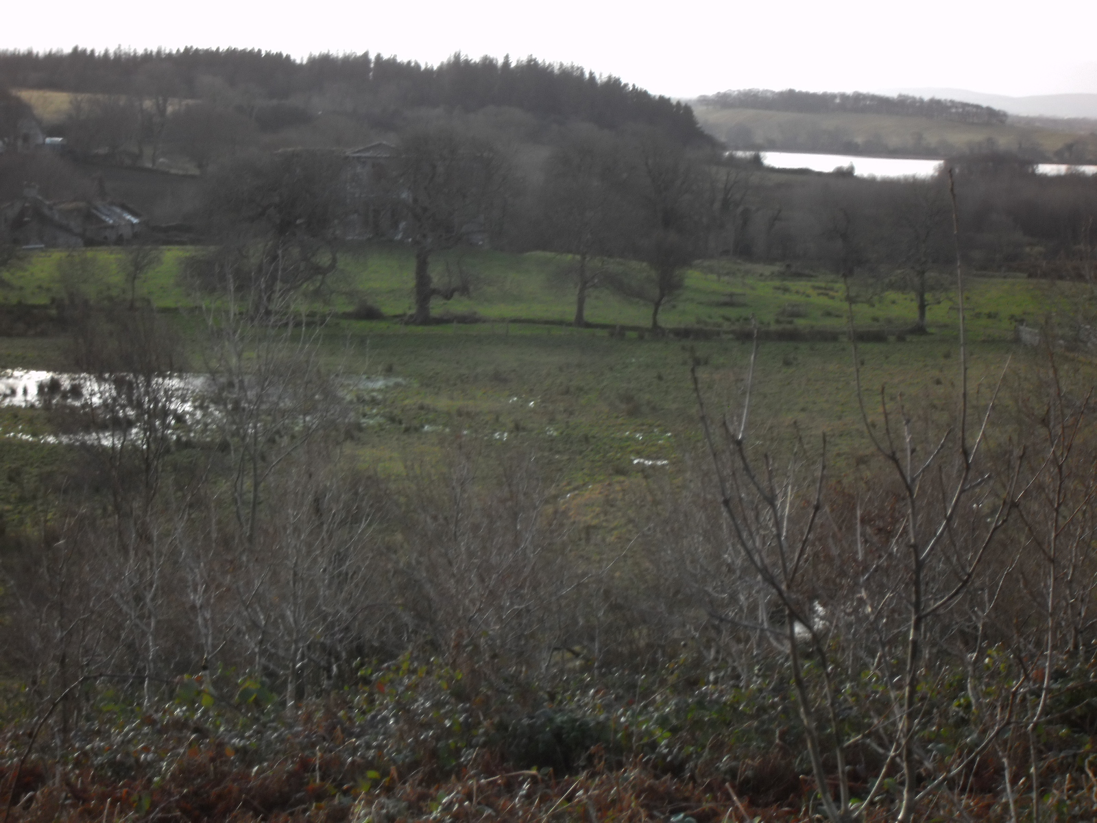PICT0008_1.JPG