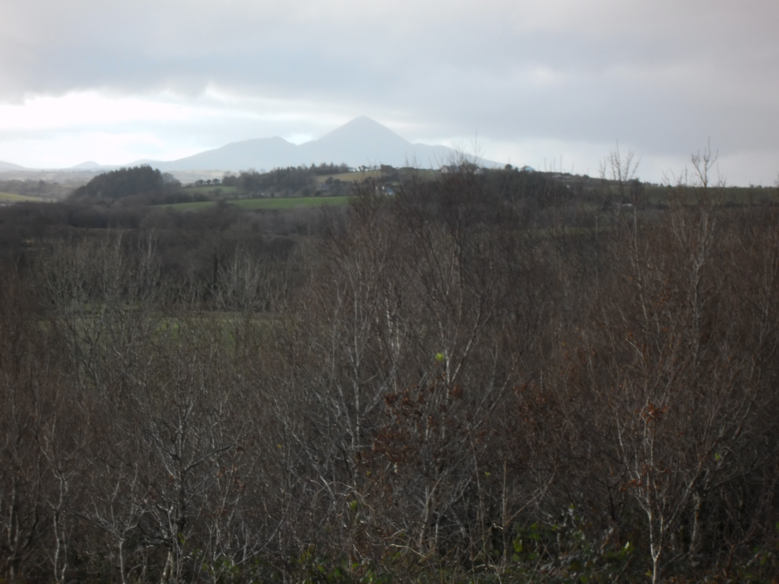 PICT0009_1.JPG